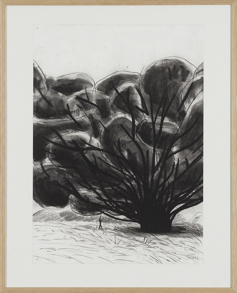 In de kloof (Papagonië)