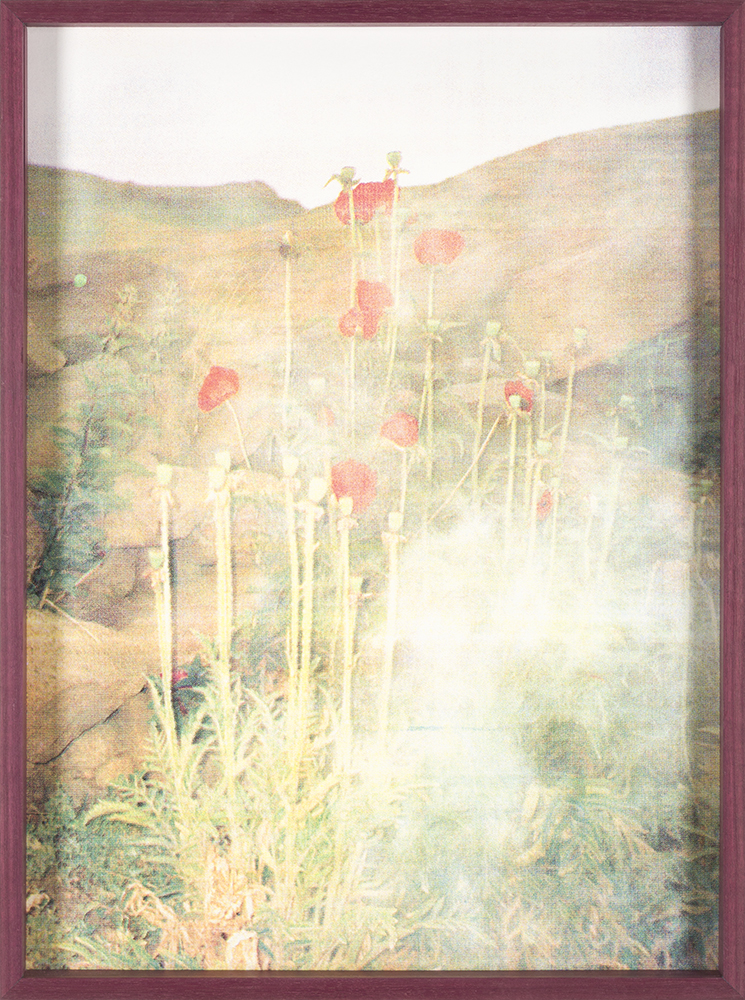 The Fire, The Mountain & The Scorpion