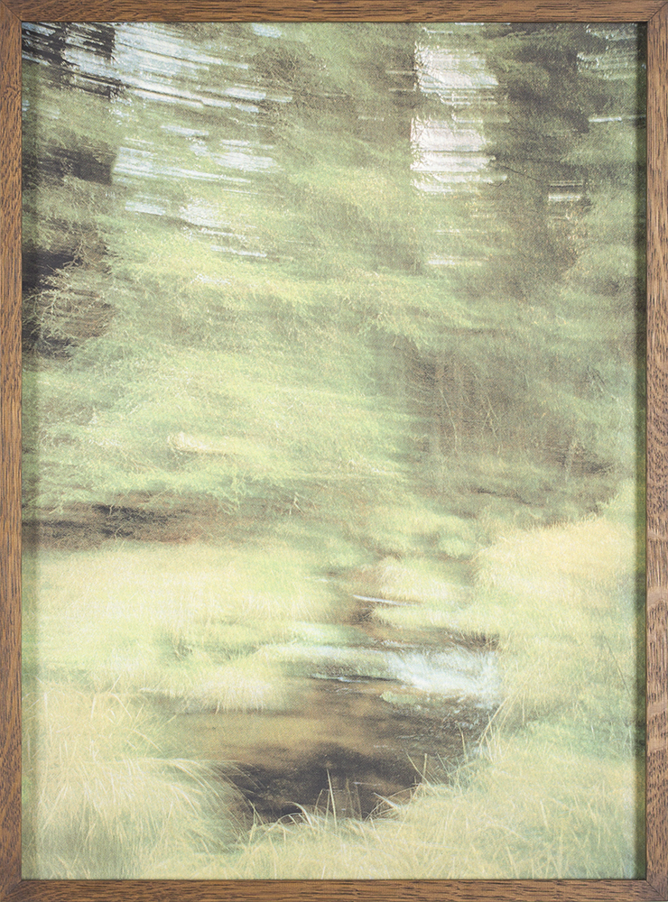 Disorientation
