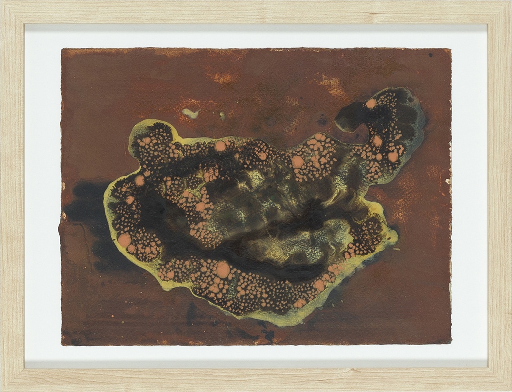 Kleine korstmos nr 18