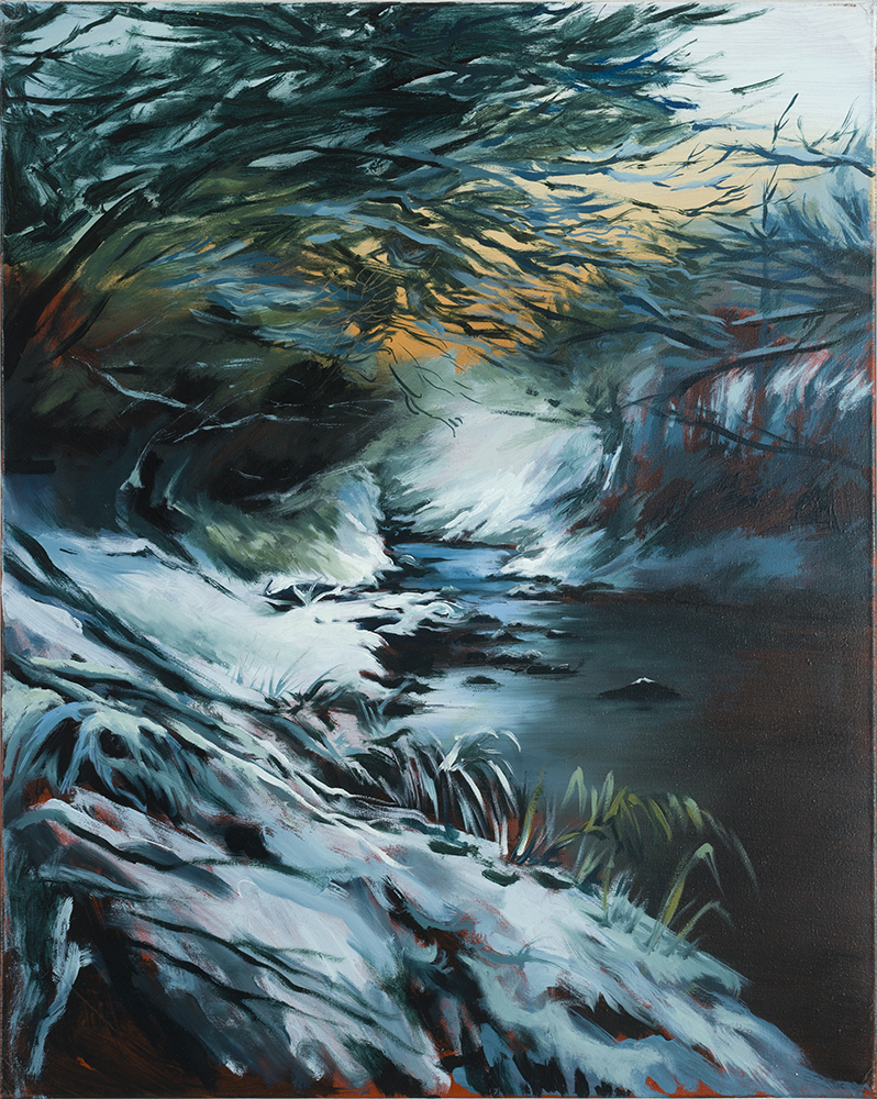 Ruisseau gelé - Bevroren stroom