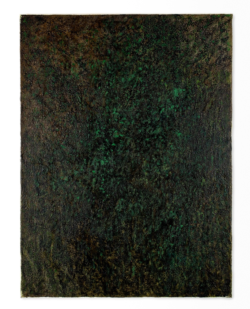 Foresta di Badia Santa Trinità a Talla