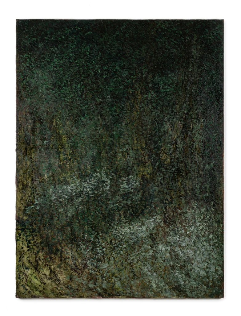 Monte Falterona (Capo d’Arno)