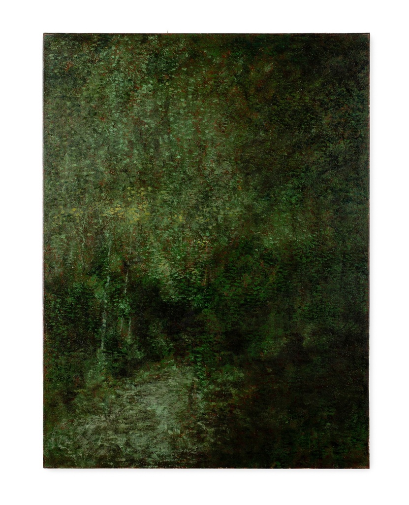 La Foresta di Sant’ Antonio (Pratomagno)