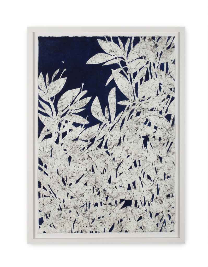 Geen dag zonder lijn / Hortus 1/1