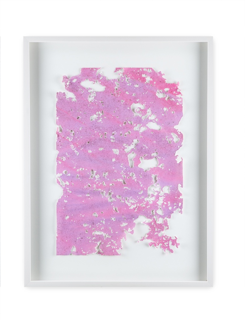 In the Shadow of – Pamphlet Snail I