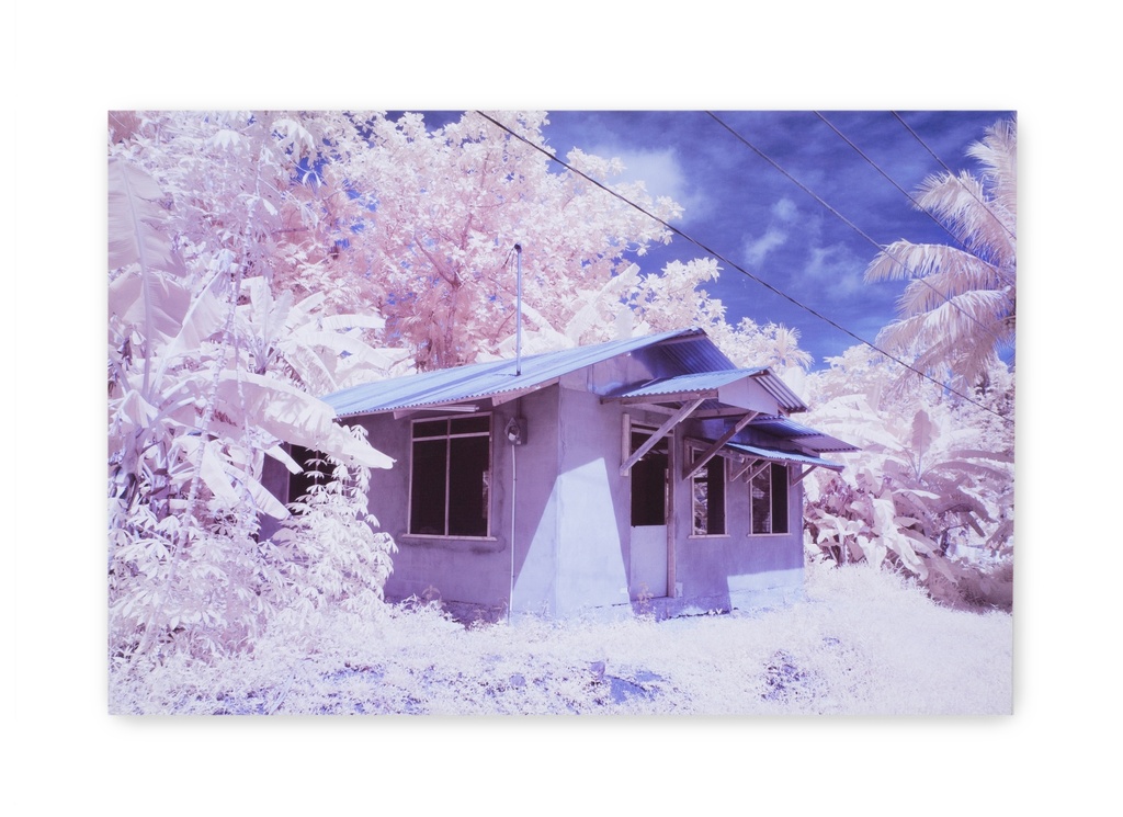 Untitled