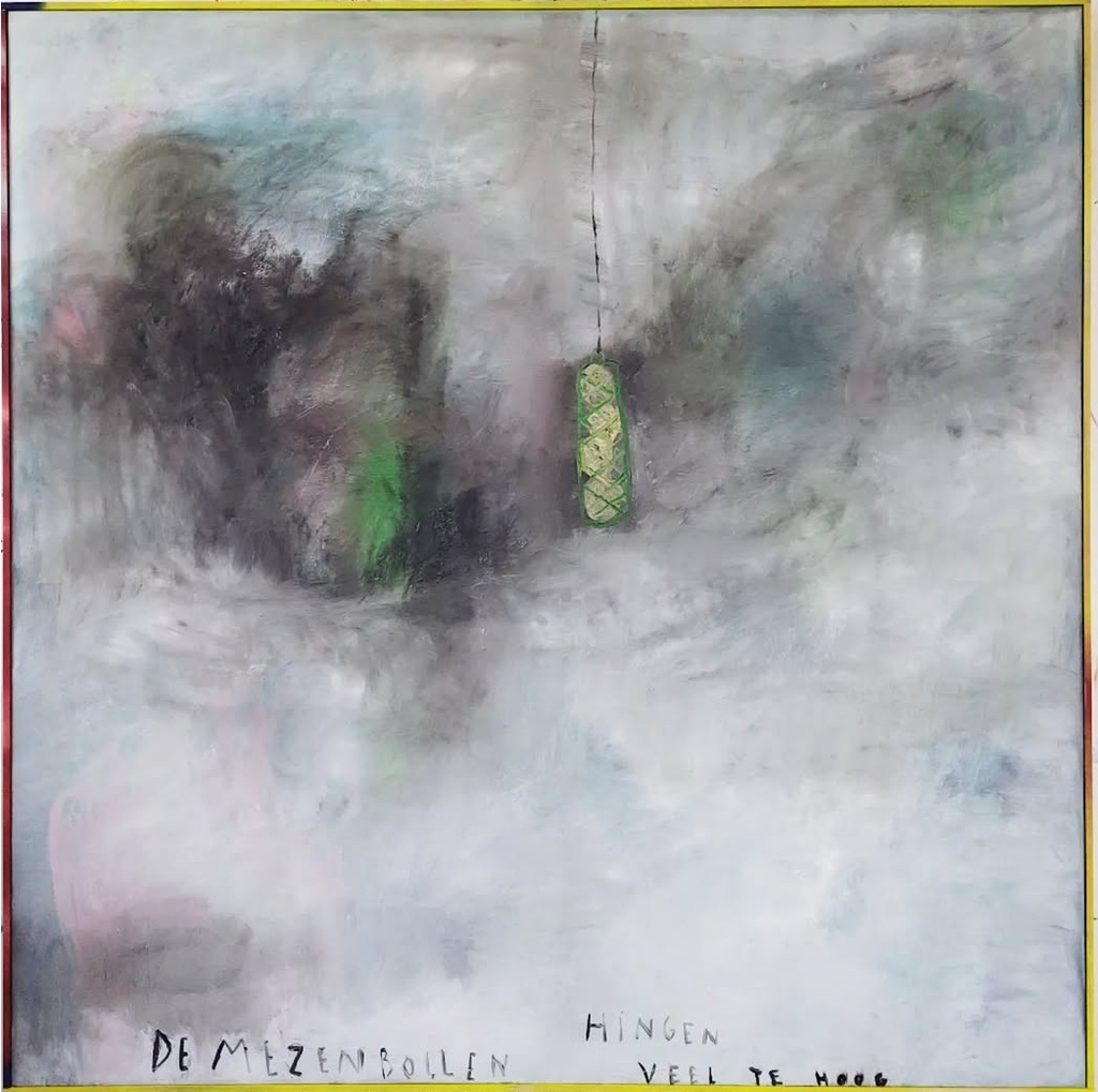 De mezenbollen hingen veel te hoog