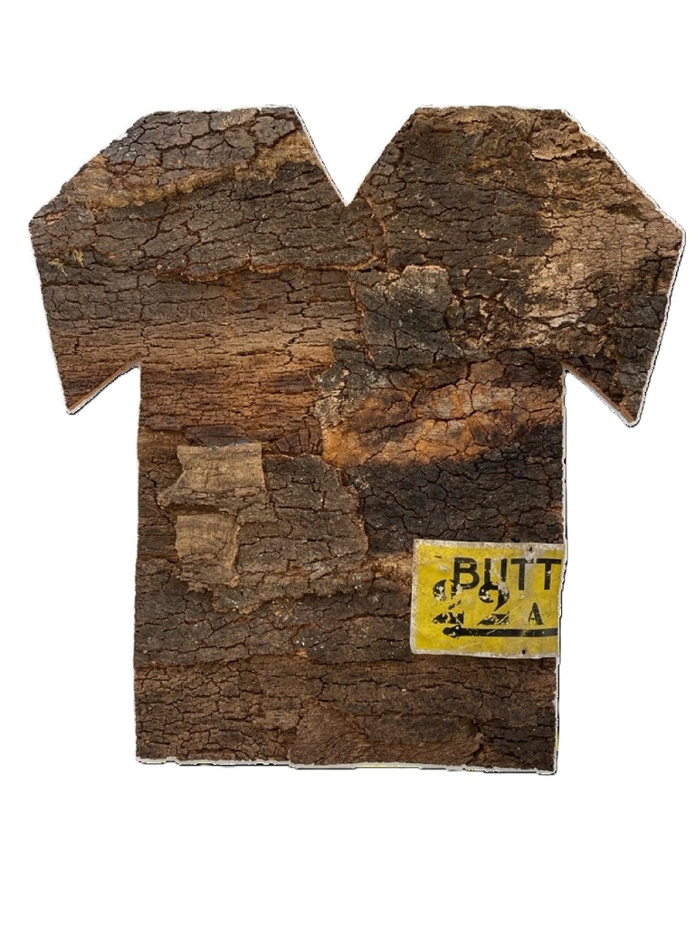 Shirt proposal 2 for the World Cup of Trees