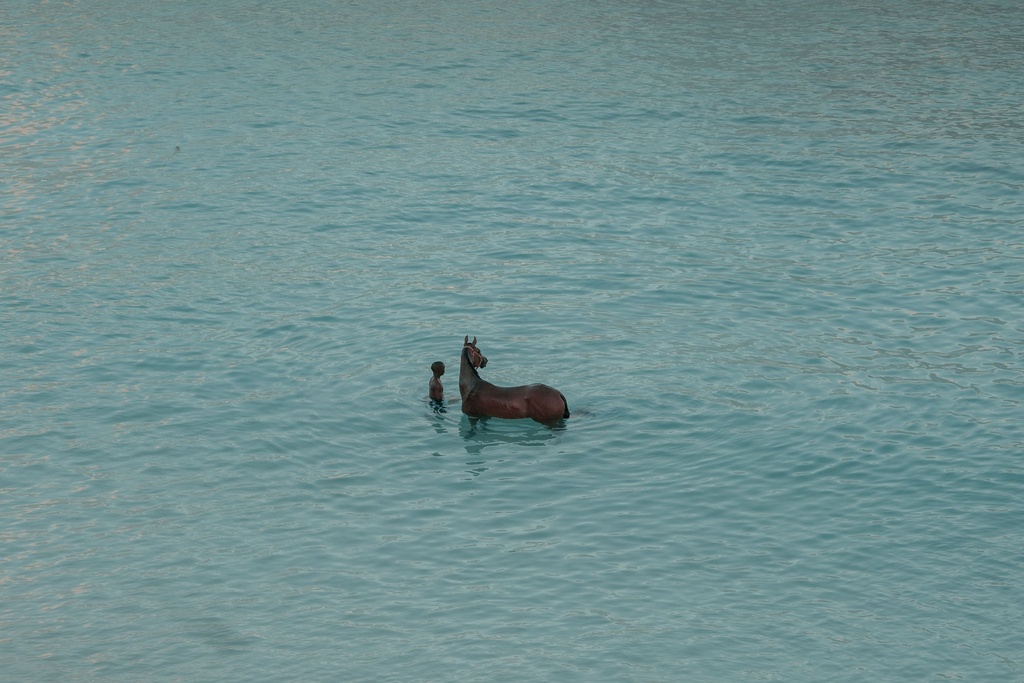 Race Horse, with Boy Barbados