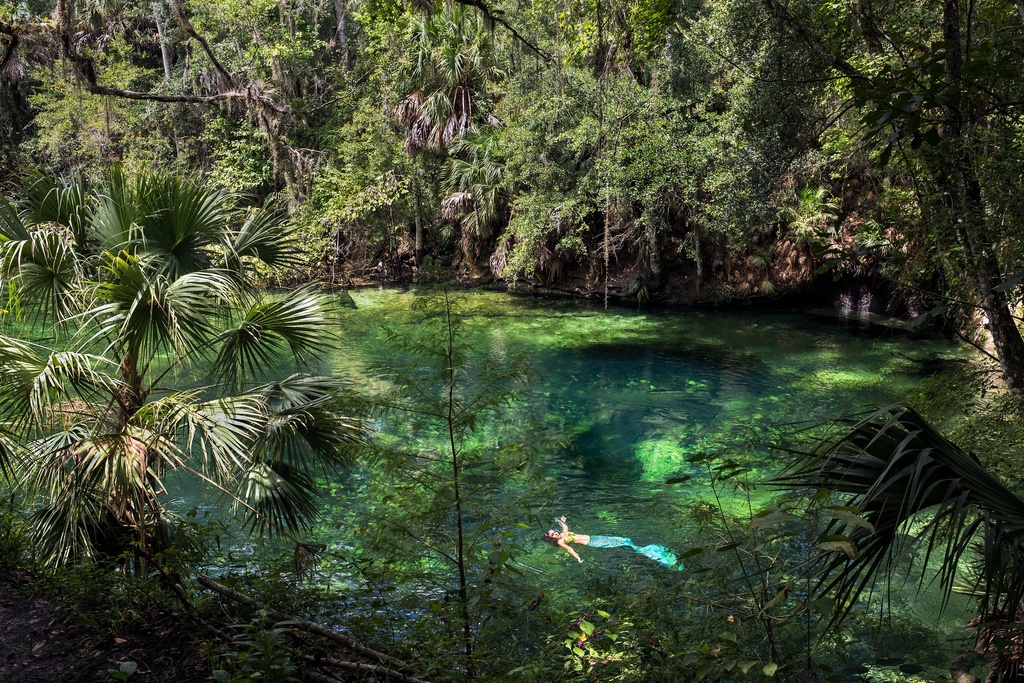 Mermaid Sarah bathing (FL, USA), 2019