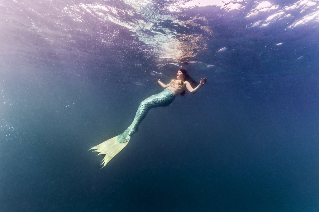 Mermaid Lelie in the Red Sea (Egypte), 2019