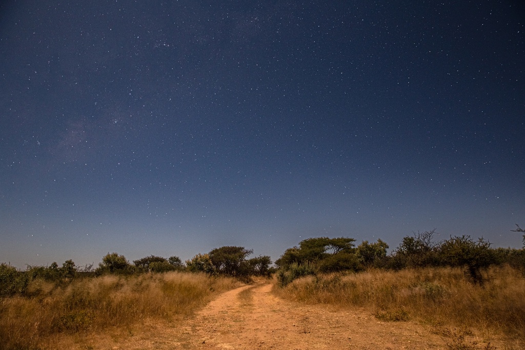 Pathway, Namibia, 2022.