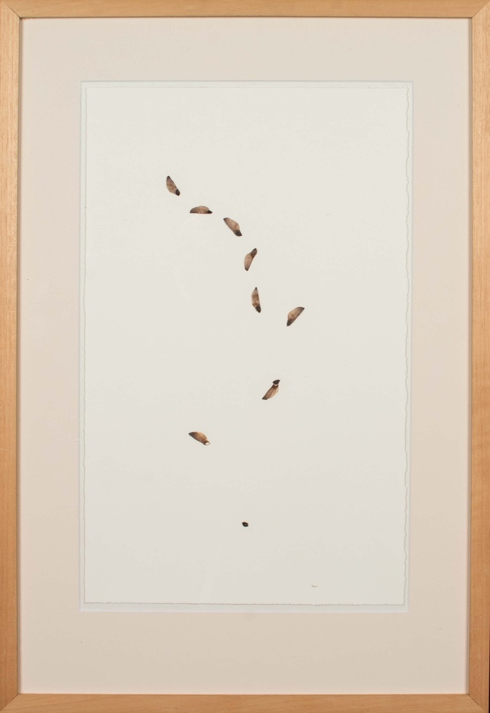 Geboortelied voor een grove den