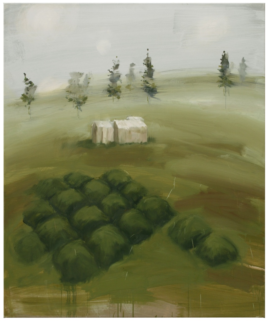 Landschap 2011