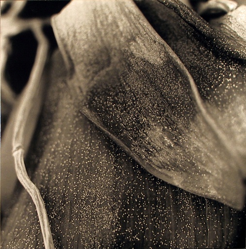 [01040068] zonder titel