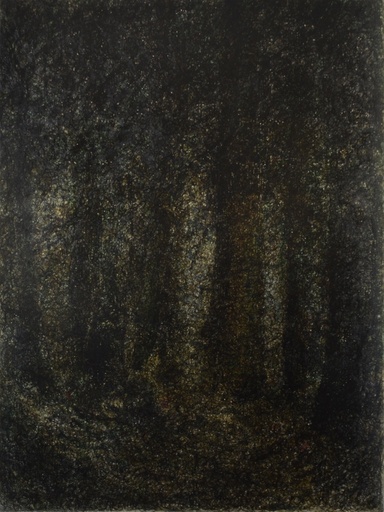 [07930027] Foresta