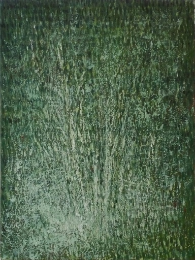 [07930036] Bosco Varco di Reggello - 3