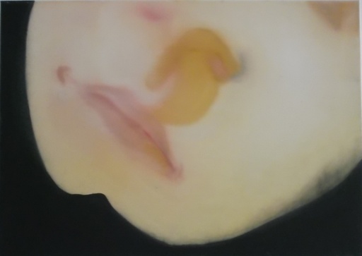 [09320031] Moon face