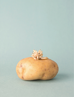 [09540051] Patat (uit 'Ik zal u nooit vergeten')