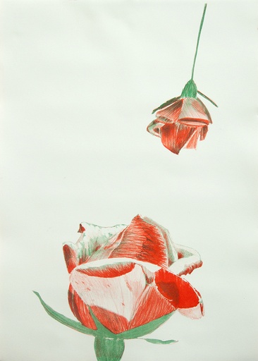 [09580038] Interspace - tussenruimte