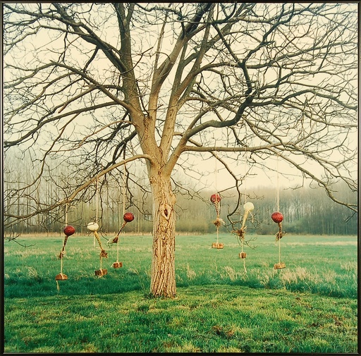 [09890014] Notenboom en kolen