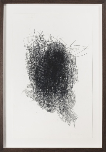 [09940064] Untitled (V.spring 2011)