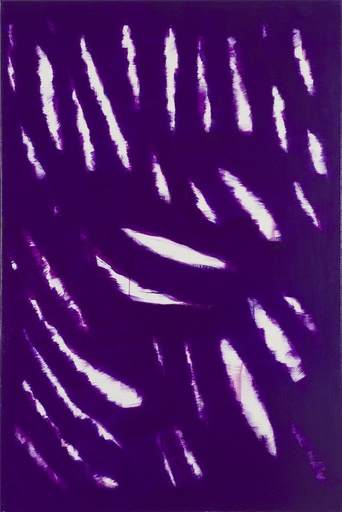 [10740055] Purple cracks 1