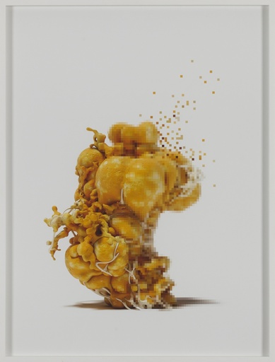 [11040081] Sniburtad