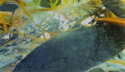 [11040082] Tanabraox