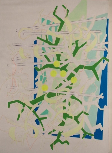 [11450021] Blank map