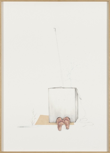 [11780017] Out of the box