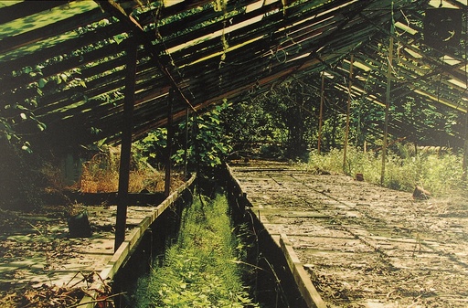 [12040015] D&amp;M (1) / MG 8.1