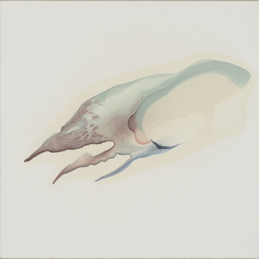 [12110029] Zonder titel 6