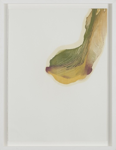 [12110032] Zonder titel 9