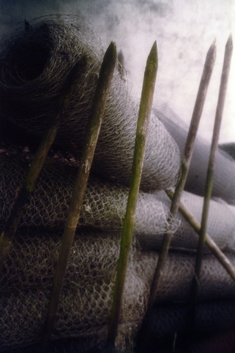 [12210010] Frontiere