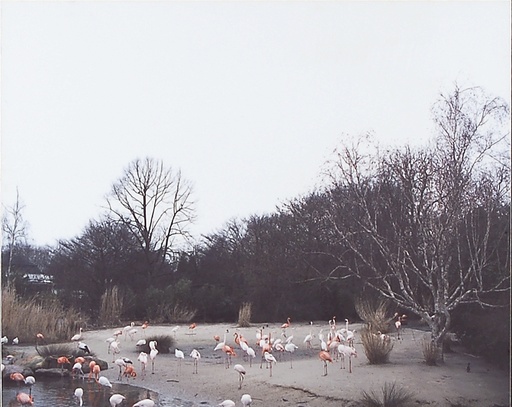 [12340007] zonder titel