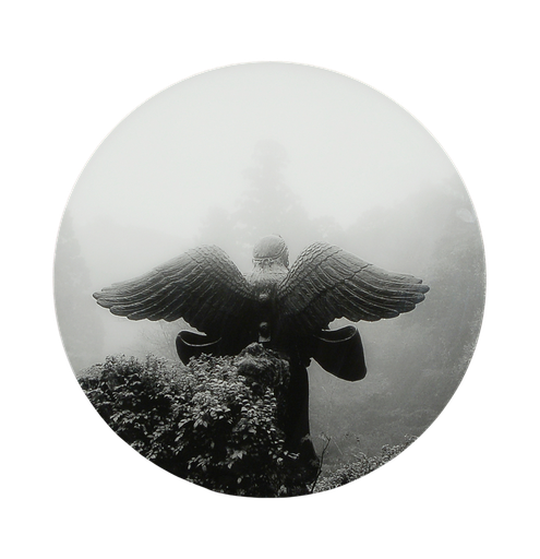 [12430002] Birdman
