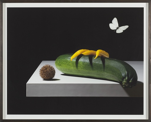 [12430020] Aporia solanaceae crataegi (Nightshade series)