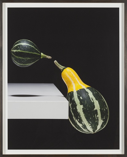 [12430021] Cucurbita crocus volatilis (Nightshade series)