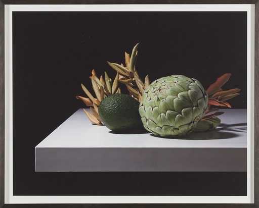 [12430023] Cynara ahuacatl scolymus (Nightshade series)