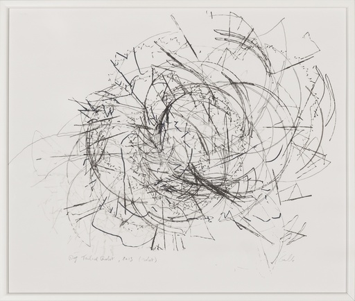 [12500005] Dog tailed robot