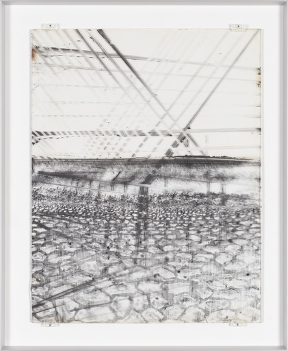 [12910017] Polygons in a glass house