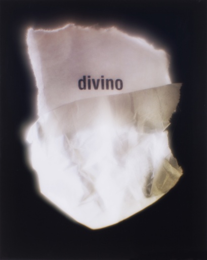 [13110020] Divino
