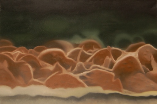 [13160004] Scape/False-Color IV