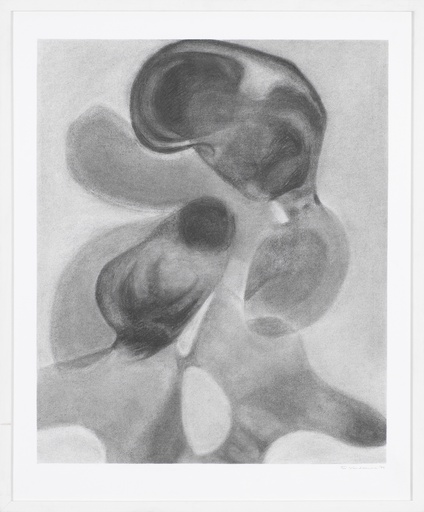 [13160021] zonder titel