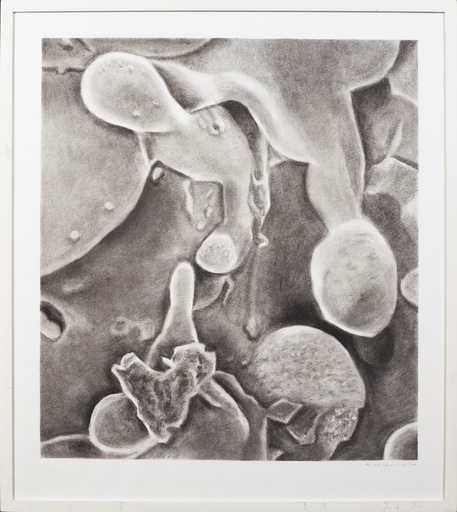 [13160022] zonder titel