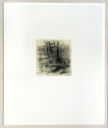 [03490032] Tuin