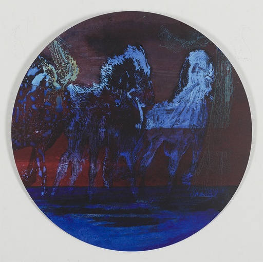 [13210048] Horses in color