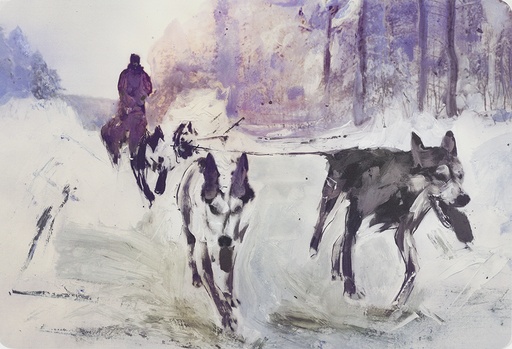 [13210058] Hundar i snö